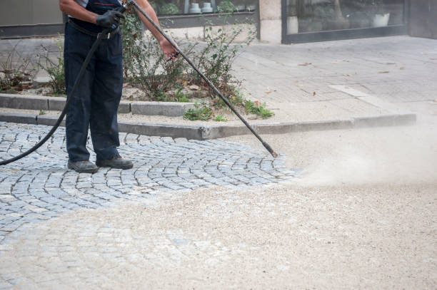 Best Patio and Deck Pressure Washing  in Scott, LA